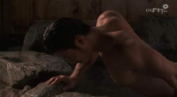 不要肌肉兄贵！粉丝恳求《宝可梦：风/波》新御三家别站起来