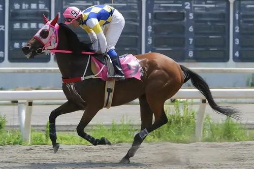 《赛马娘》美国剧本新增黑皮马娘引争议