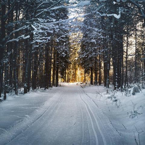 高校电竞玩家集结！联想极光校园争霸赛邀你参战！
