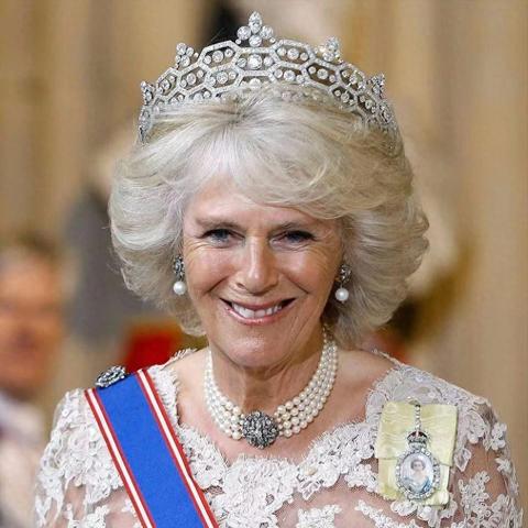 海尔凯特怎么玩才强？2026暗域攻坚/配队烙印/实战细节全解析