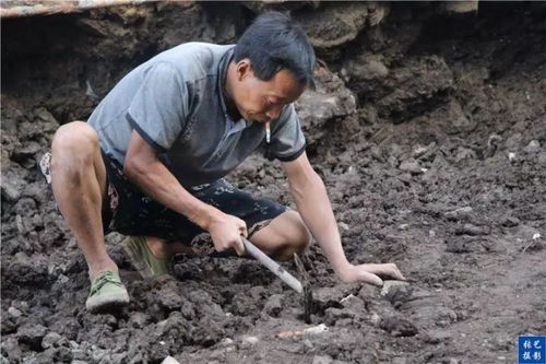 2026年囧图集怎么玩？从素材挖掘到变现的9个实操冷门道