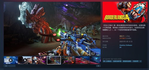 《无主之地4》遭全面破解 D加密再次失守