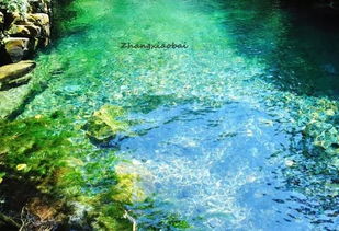 三角洲行动长弓溪谷海底捞三角蚌在哪 长弓溪谷海底捞三角蚌位置