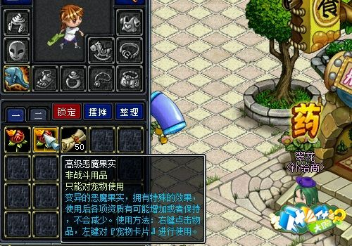 什么什么大冒险2零氪独家逆袭指南，新手速升、神宠搭配、隐藏副本全解析