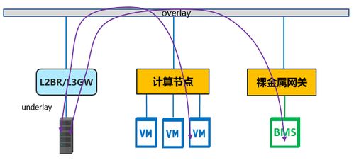 鸣潮冰原筑脉第四关怎么过 冰原筑脉脉第四关休憩之湖通关攻略