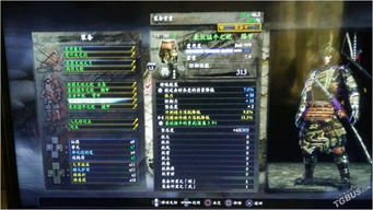 仁王3二周目忍术丢子流配装分享 二周目忍术丢子流玩法介绍