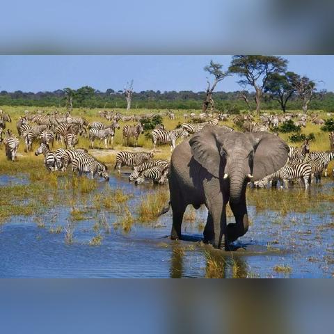 三角洲行动海底捞三角蚌在哪 三角洲行动海底捞三角蚌位置大全