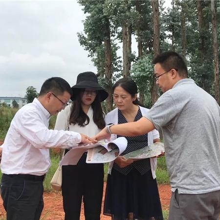 三角洲行动S8赛季SR25怎么改 三角洲行动S8赛季SR25改装方案