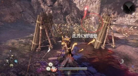 仁王3井伊家的遗脉任务完成方法 井伊家的遗脉怎么完成