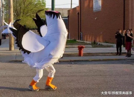 《无风计划》9英尺高的公鸡主角收到了预期的反响