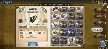 龙人之盾深度指南，新手坦克必入神盾？属性拆解、速刷路径&适配场景全解