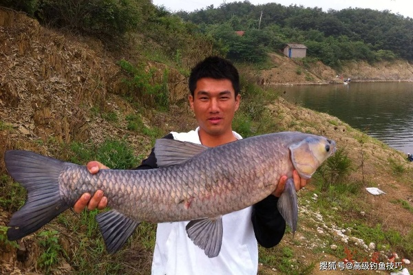怎么钓到大鱼？2026实测鱼种习性+野钓黑坑实战全指南