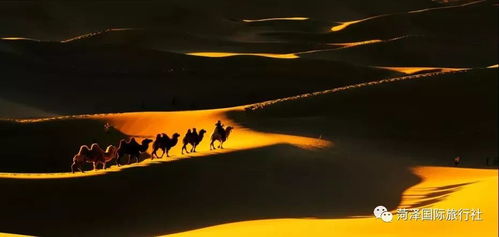 数毛社狂赞《红色沙漠》！2026年的图形新标杆