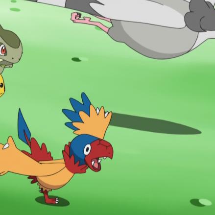 多邻国玩梗宝可梦新作御三家 绿色鸟类形象引共鸣