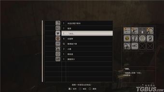 生化危机9安魂曲RX 580测试 优化适配让老显卡流畅运行