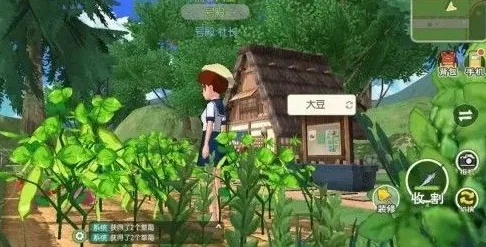 小森生活，2025年专家揭秘致富秘籍，如何从新手逆袭为农场大亨？