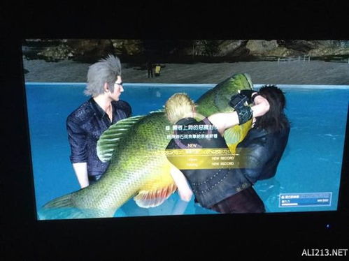 收藏！摩尔庄园钓鱼图鉴终极指南，稀有鱼种点位、钓法技巧&热门需求精准匹配