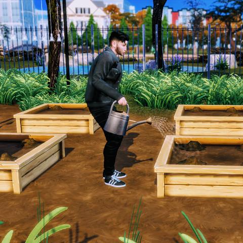 模拟人生2秘籍全攻略，分类速查+热门需求适配，解决90%核心游戏痛点