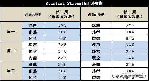 零基础初体计划怎么定？独家定制攻略，30天科学入门不踩坑