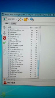 SKSE怎么装不崩溃？适配天际周年版的全流程+排坑手册