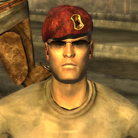 《上古卷轴5》NS版开发商意外泄露《辐射：新维加斯》读取画面