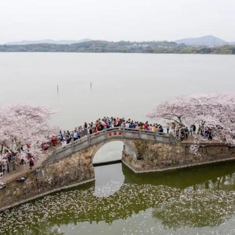 《三角洲行动》主播毁号事件后续！当事人征集联名控告