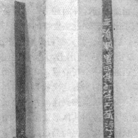 生存之环刀刃类型怎么选？匹配热门玩法，解决开荒到毕业全阶段痛点