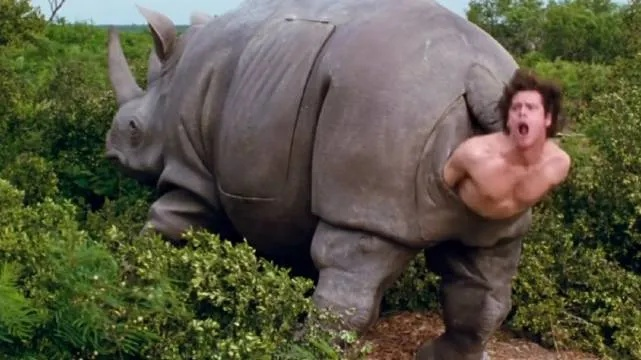 "分娩"出金凯瑞的道具犀牛将拍卖 起拍价意外地便宜