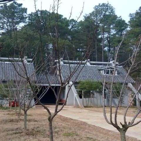 今日闪促《城市猎人》经典重生《妖之乡》东方奇幻限时特惠