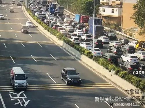 玩Cities类城市建造总翻车？新手避坑、拥堵破解、财政盈余实战全攻略