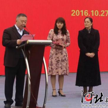 LOL五级成就专属活动速刷攻略，3天搞定5级成就？附全位置英雄实战技巧