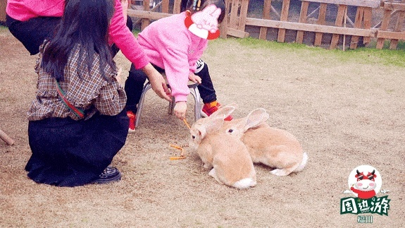 太孝顺了！《兔兔秘密花园2》能变卖家产拿生活费逛夜店