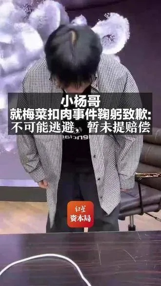 小杨哥鞠躬致歉梅菜扣肉，直播电商食品危机公关与消费者避坑全攻略