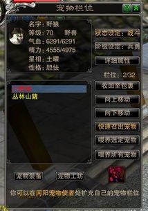 梦幻诛仙谐字成趣玩法全攻略，谐音ID、任务暗号、宠物梗怎么玩出专属趣味？