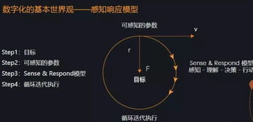 独家拆解不败MV核心类型，精准匹配热门需求，解锁爆款创作密码