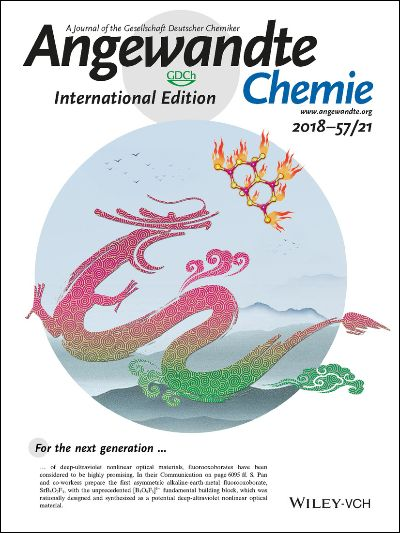 17岁男生发现新物种“筷子蛇” 研究成果登SCI期刊