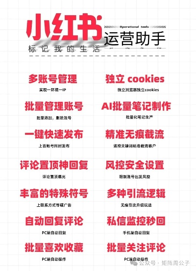 小红书4种小红车类型怎么选？匹配热门需求的爆单实战攻略