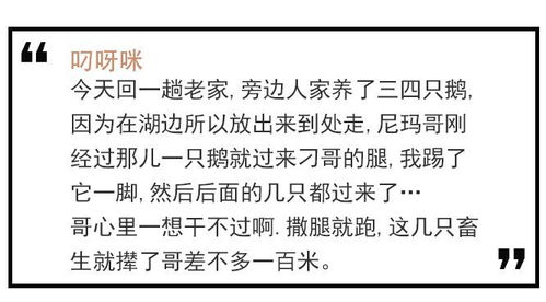 鹅鸭杀怎么稳赢？新手避坑、职业搭配、高阶残局破解全指南