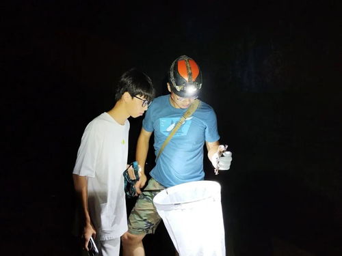 17岁男生发现新物种“筷子蛇” 研究成果登SCI期刊