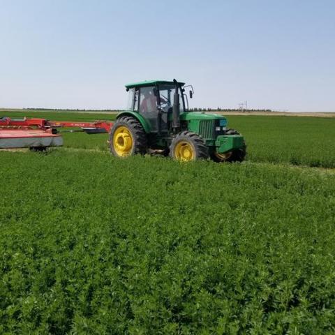 牧场物语风之集市，靠集市月入10万G？好感速刷+稀有作物实战全攻略