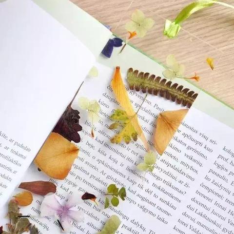 墨香怀旧服外挂深度拆解，类型、识别技巧与防封指南（附2026年黑产数据）