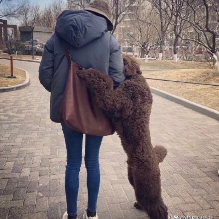 球队为女星献贵宾待遇 球员女友们怒了