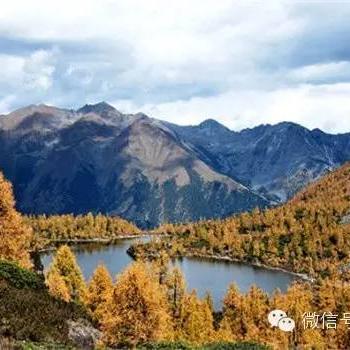 仙境传说2公测类型有哪些？匹配热门需求的开荒&职业选择全攻略