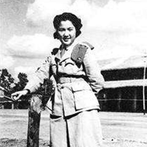 如何玩转游戏里的包打听？解锁隐藏剧情与专属奖励的情报收集实战指南