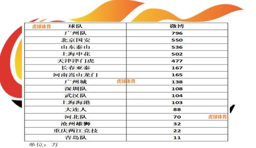 买马怎么选类型？匹配新手入门/赛事竞技/休闲骑乘3大热门需求的实战指南