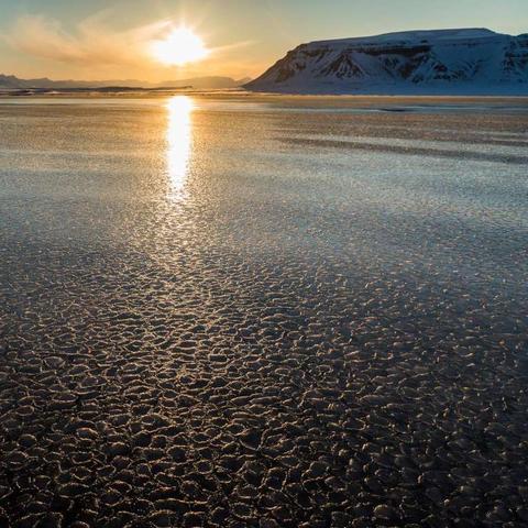 《午夜以南》将于3月31日登陆PS5和NS2平台