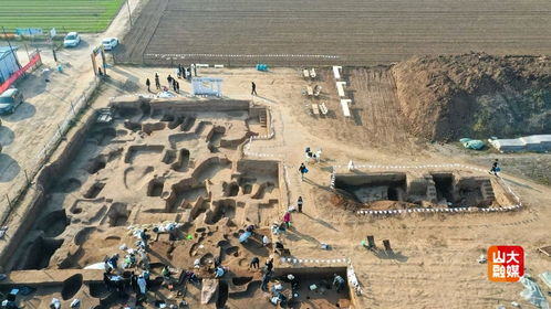 2026独家田野考古入门攻略，新手如何快速上手遗址勘探与文物初鉴？