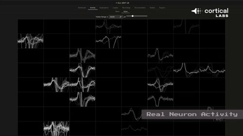 震惊！芯片上的人脑细胞一周内学会了玩《毁灭战士》