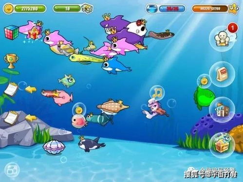 2026年正版无广告养鱼游戏选什么？下载+稀有鱼种收集全攻略