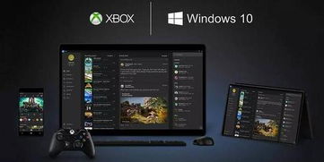 Xbox大量情报疑泄露！32GB内存 联机需交会员费